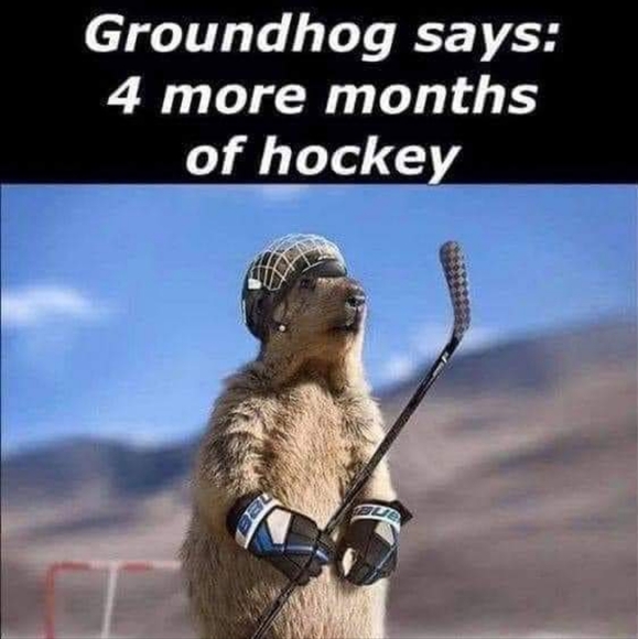 Meet your Posher, Joelle - Picture 3 of 5